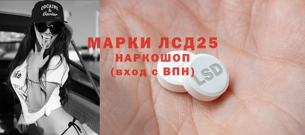 мяу мяу мука Покачи