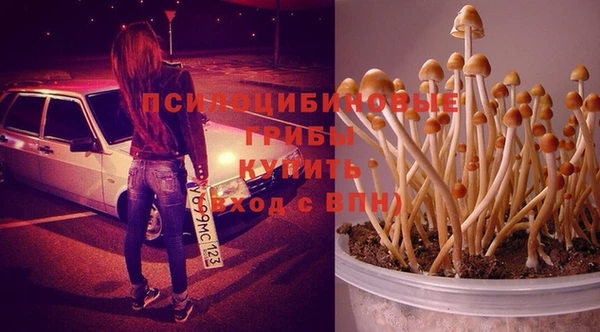 мяу мяу мука Покачи