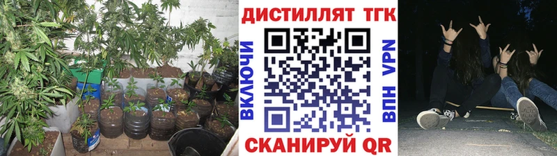 ТГК гашишное масло  Поворино 