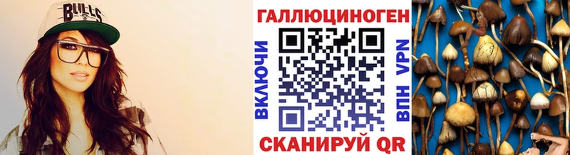 купить наркоту  Поворино  ссылка на мегу онион  Галлюциногенные грибы MAGIC MUSHROOMS 